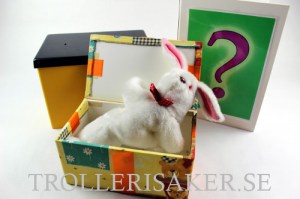 Surprise_Box_5396ee75608f3.jpg